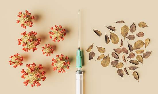 "© A. Solano – stock.adobe.com